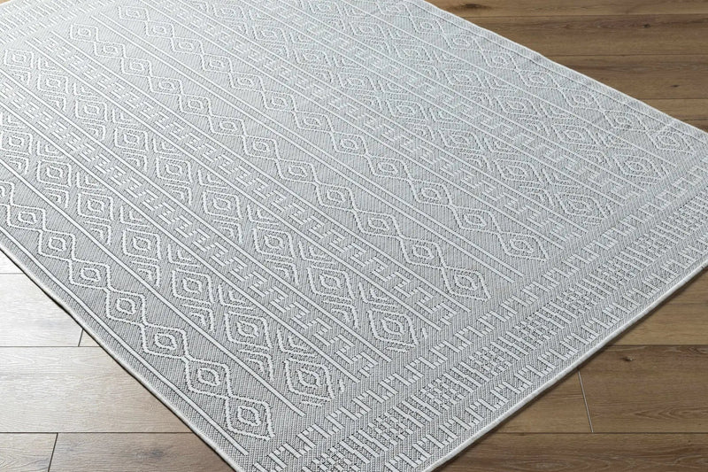Nuela Light Gray Outdoor Area Rug - Clearance by Boutique Rugs