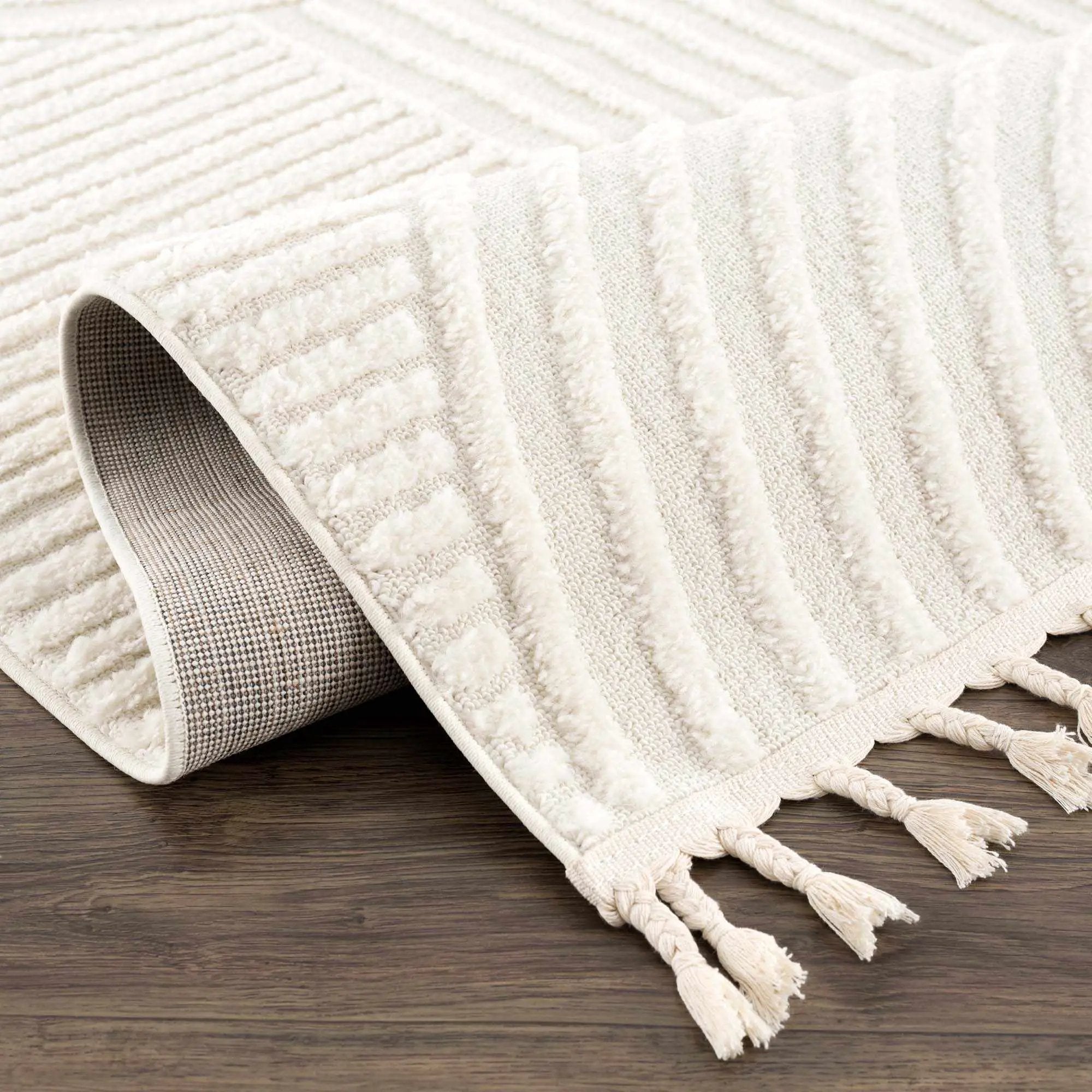 Guiling 3D Rainbow Area Rug with Tassels by Boutique Rugs