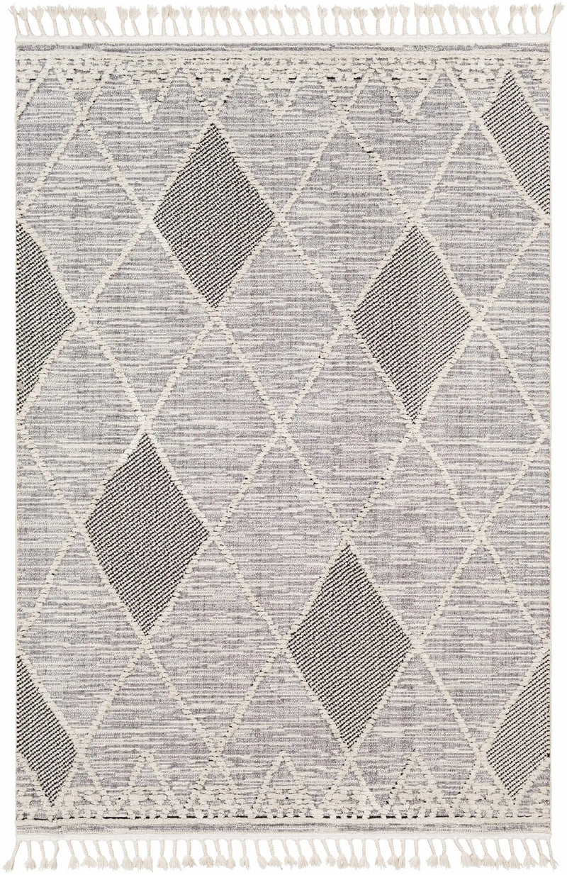 Norvelt High/Low Pile Rug with Tassels by Boutique Rugs