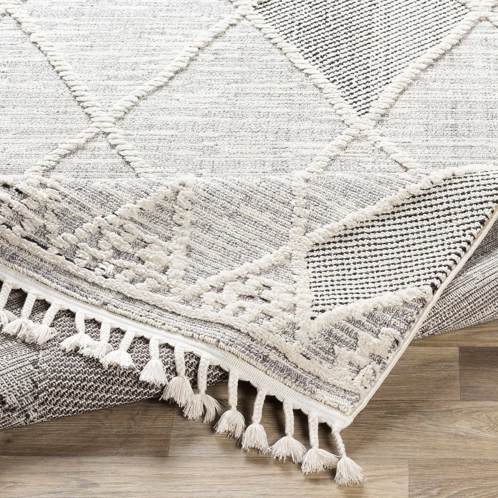 Norvelt High/Low Pile Rug with Tassels by Boutique Rugs