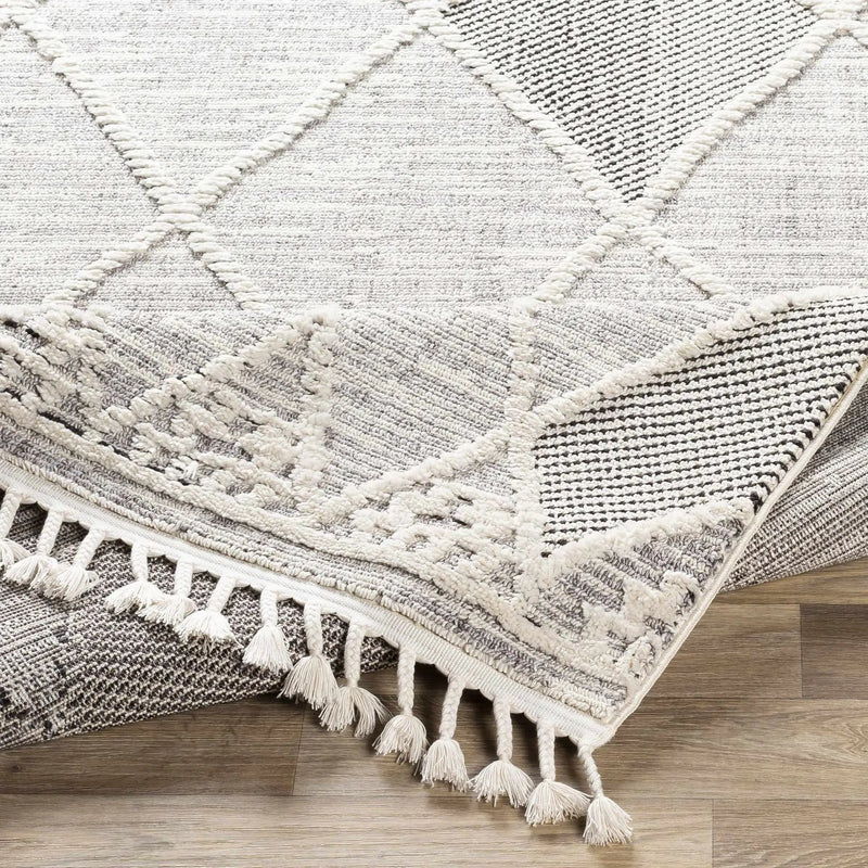 Norvelt High/Low Pile Rug with Tassels by Boutique Rugs
