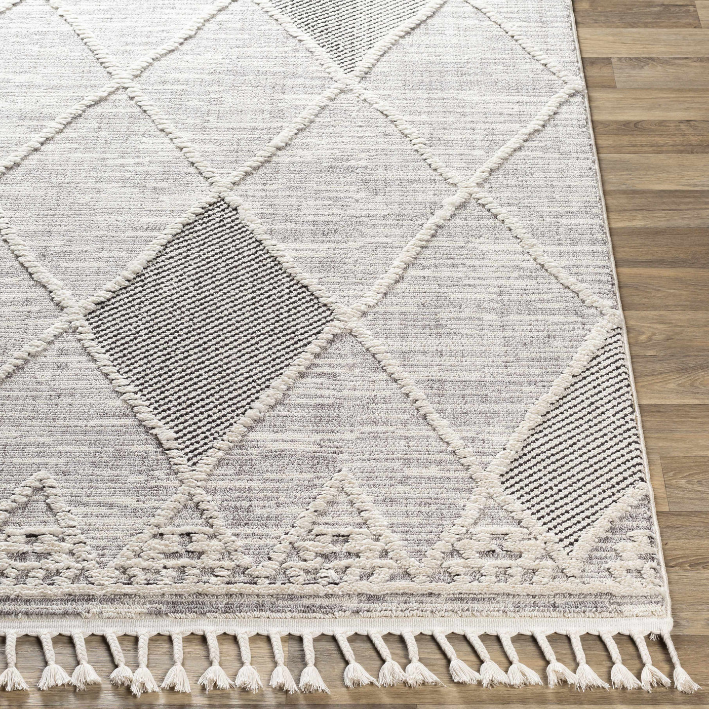 Norvelt High/Low Pile Rug with Tassels by Boutique Rugs