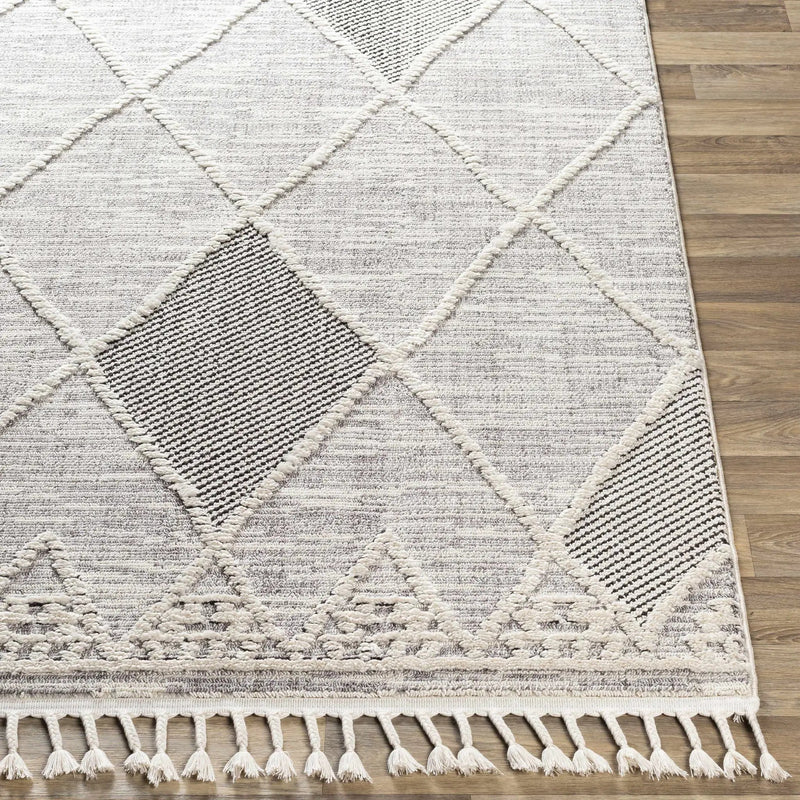 Norvelt High/Low Pile Rug with Tassels by Boutique Rugs