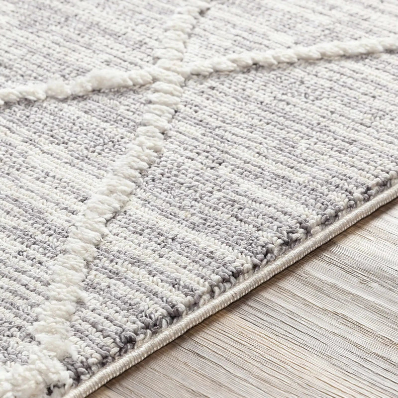 Norvelt High/Low Pile Rug with Tassels by Boutique Rugs