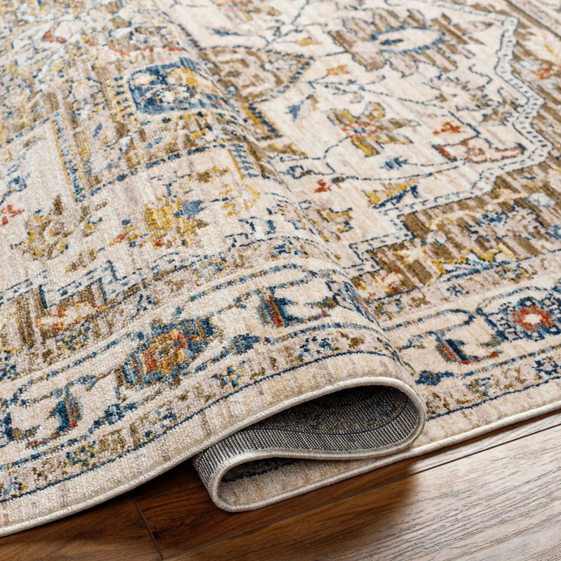 Anas Traditional Style Rug - Clearance by Boutique Rugs