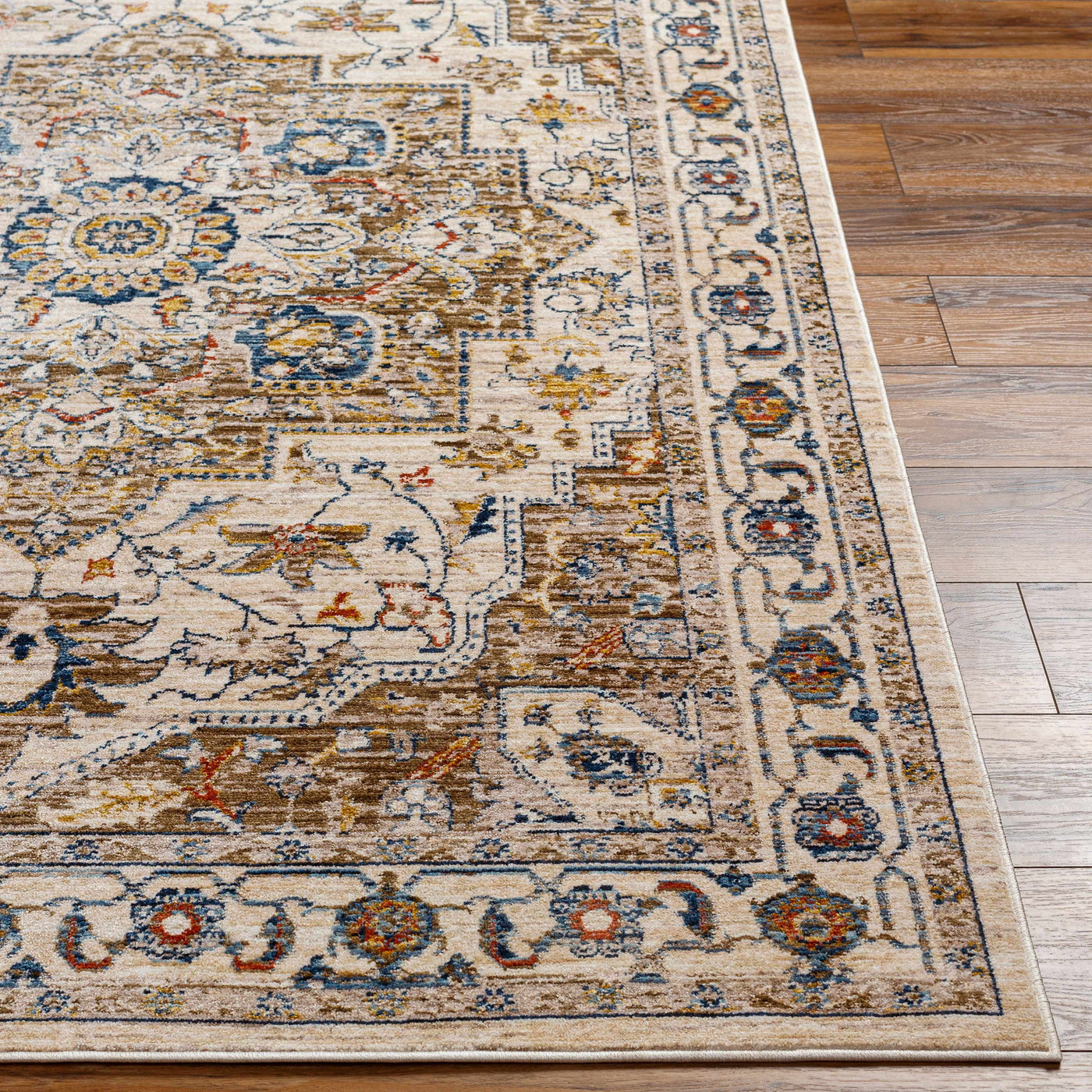 Anas Traditional Style Rug - Clearance by Boutique Rugs