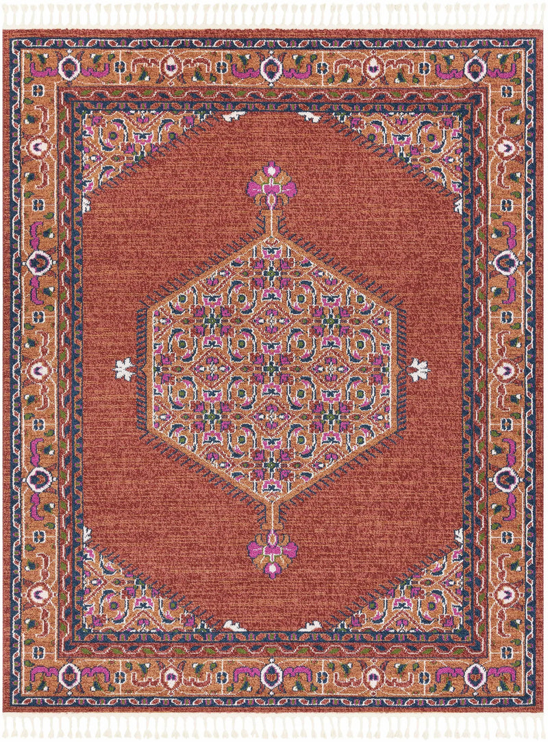 Oban Traditional Rug - 9x12 - Clearance by Boutique Rugs