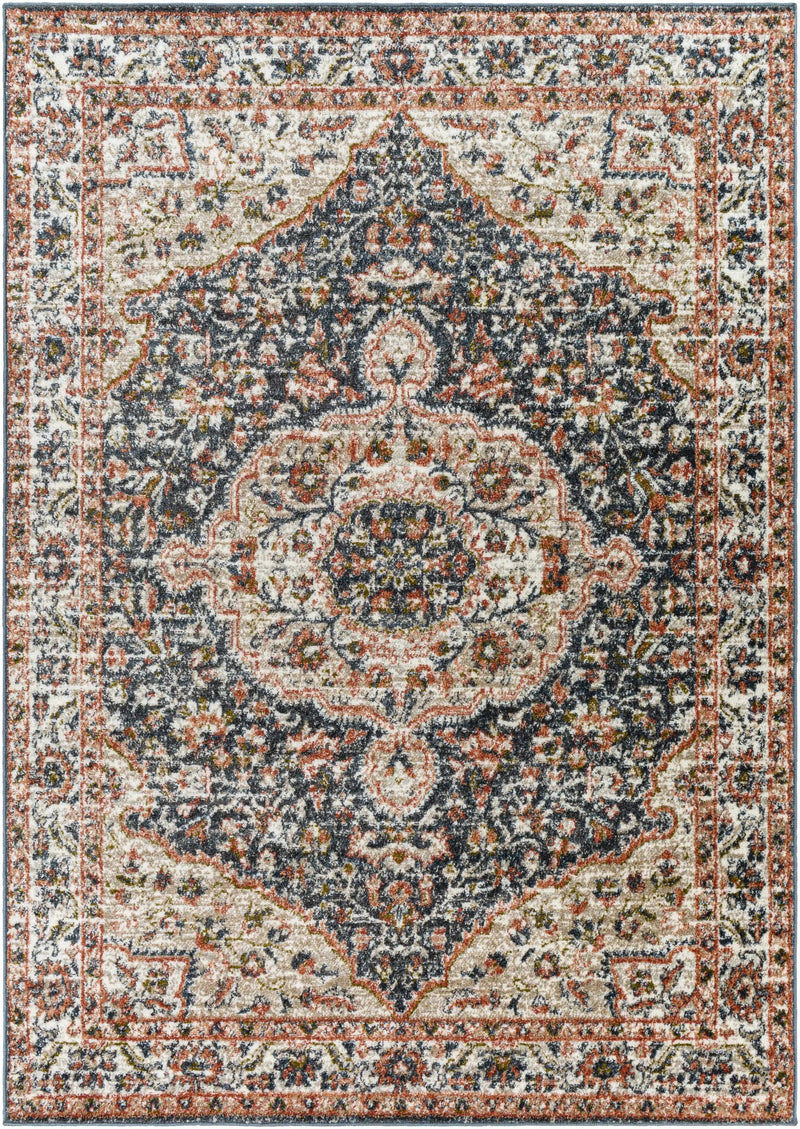 Okiot Traditional Area Rug - Clearance by Boutique Rugs