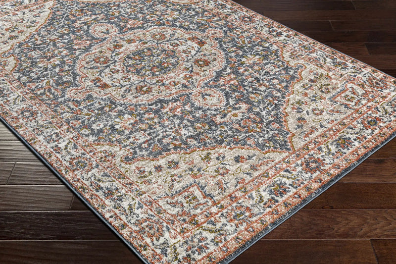 Okiot Traditional Area Rug - Clearance by Boutique Rugs