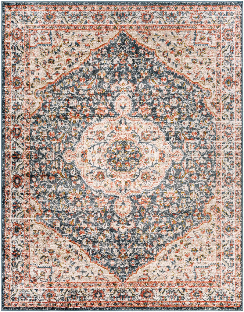Okiot Traditional Area Rug - Clearance by Boutique Rugs
