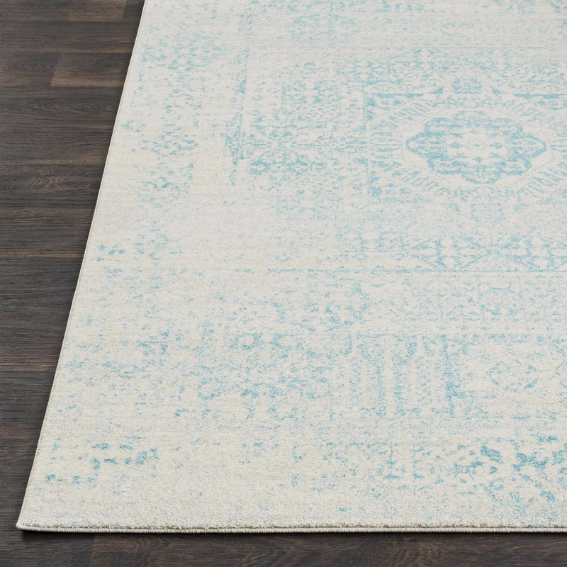 Omega Area Rug - Clearance by Boutique Rugs