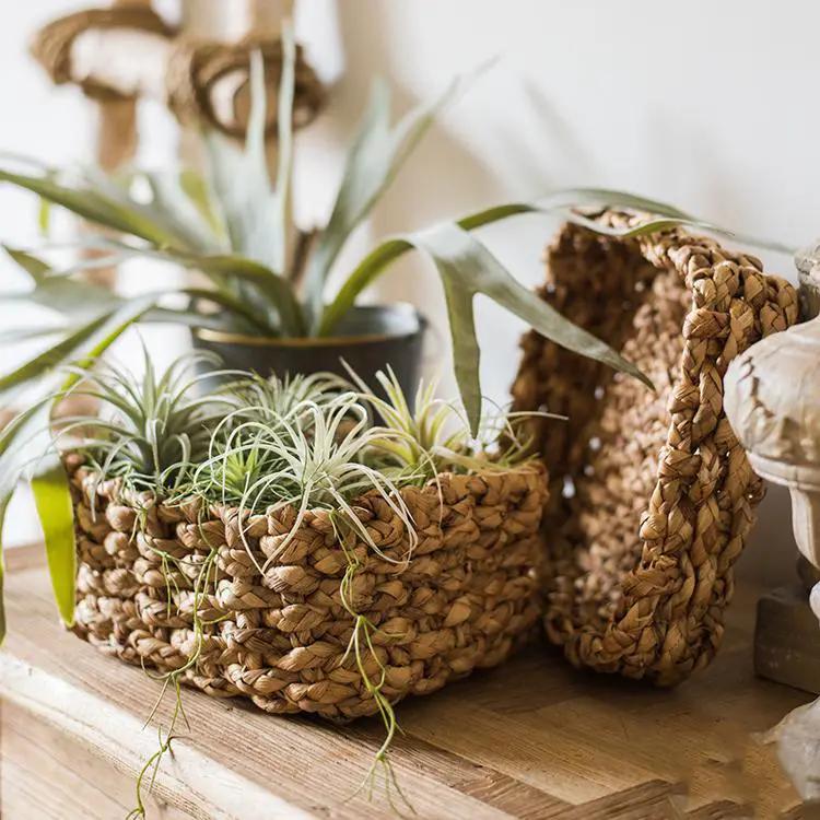 Organic Straw Organizer Storage with Lid by RusticReach