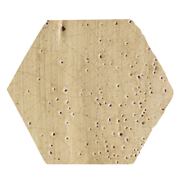 Oro Glazed Hexagon Terracotta Tiles 6x6