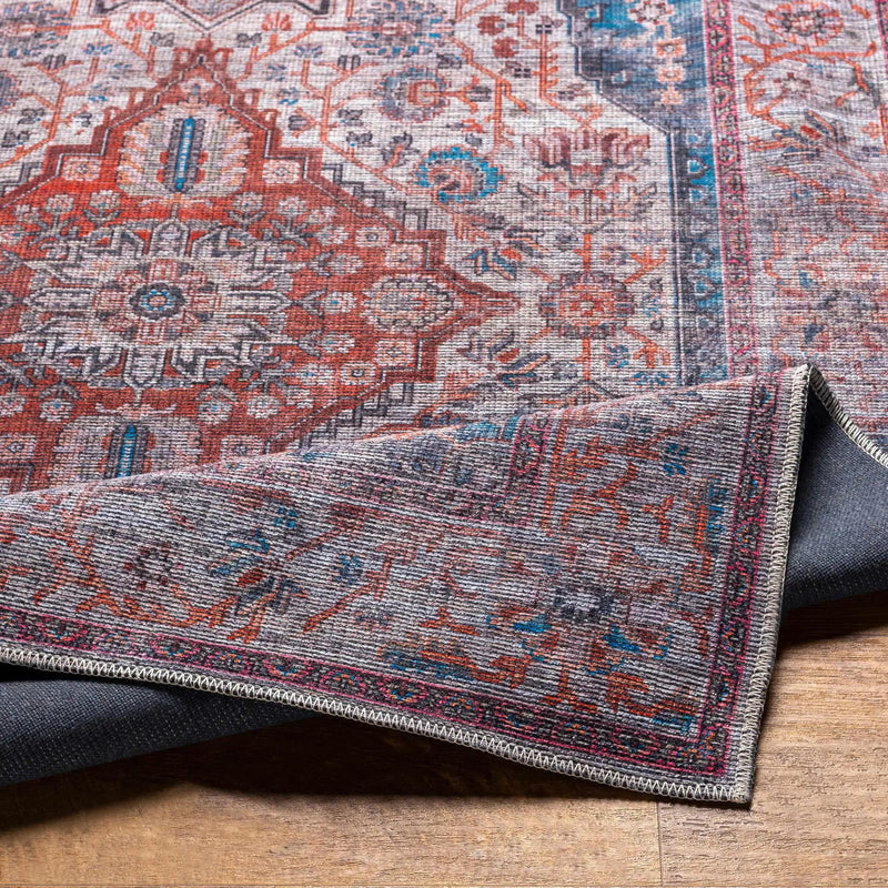 Osmaneli Washable Area Rug - Clearance by Boutique Rugs