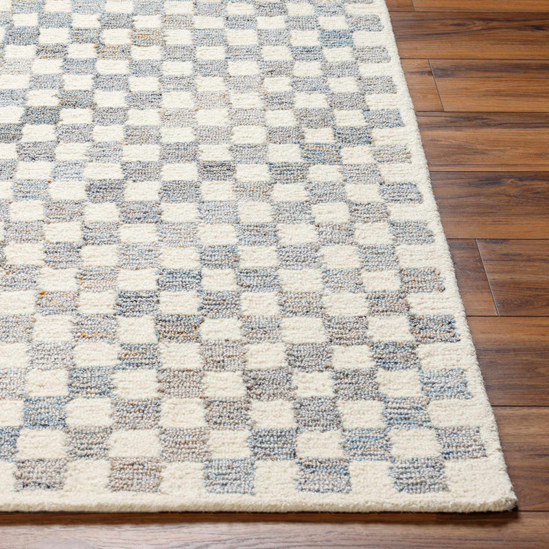 Halen Gray Checkered Area Rug by Boutique Rugs