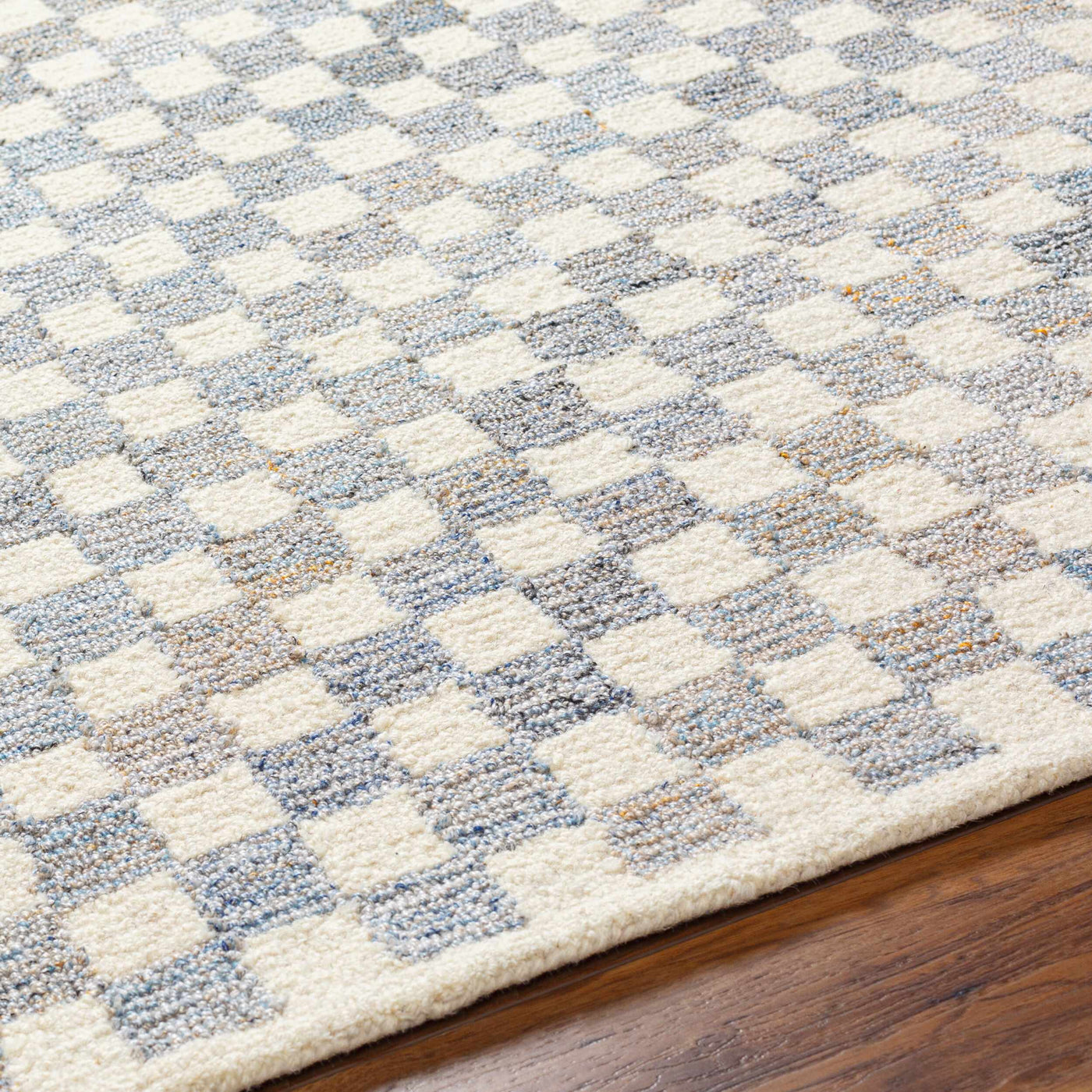 Halen Gray Checkered Area Rug by Boutique Rugs