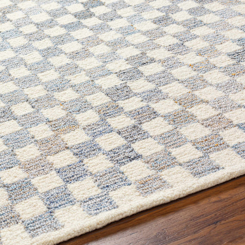 Halen Gray Checkered Area Rug by Boutique Rugs