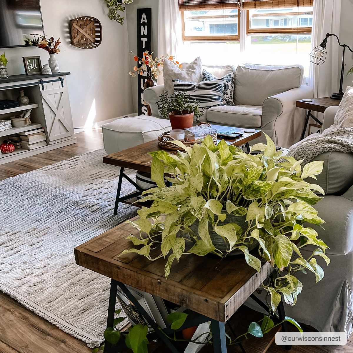 Poydras High-Low Rustic Rug by Boutique Rugs