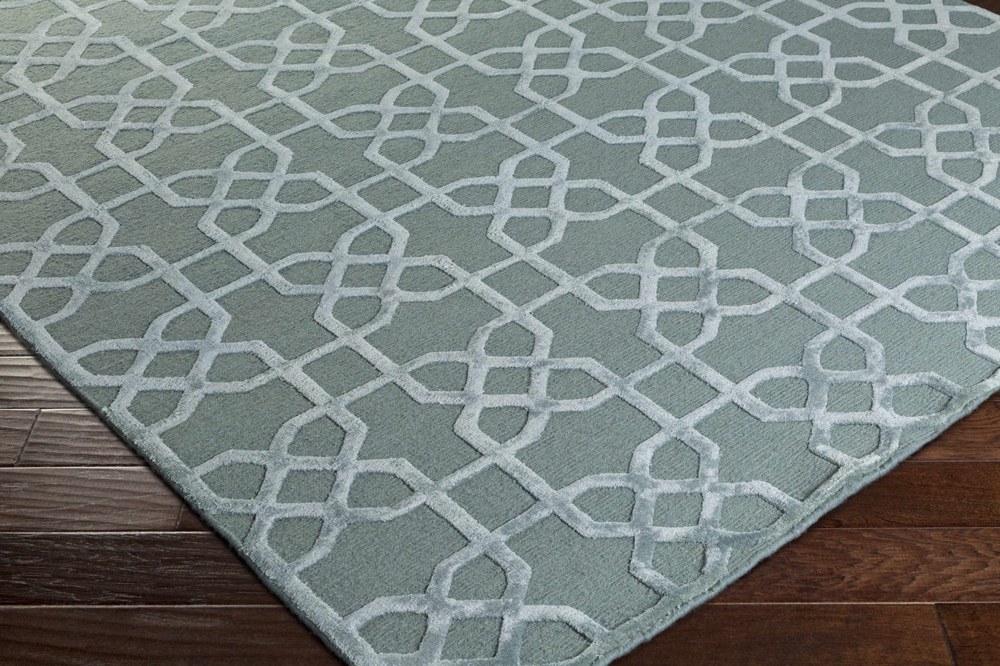 Paskenta Area Carpet - Clearance by Boutique Rugs