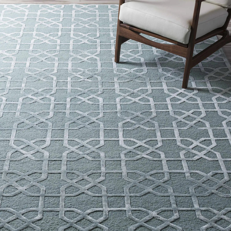 Paskenta Area Carpet - Clearance by Boutique Rugs