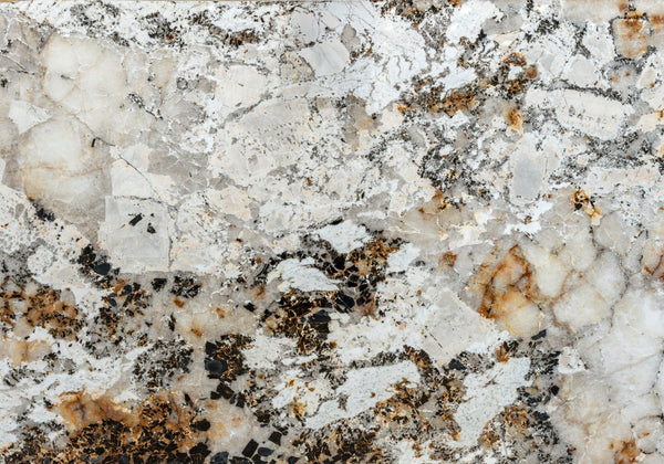 Patagonia Polished Granite Slab Random