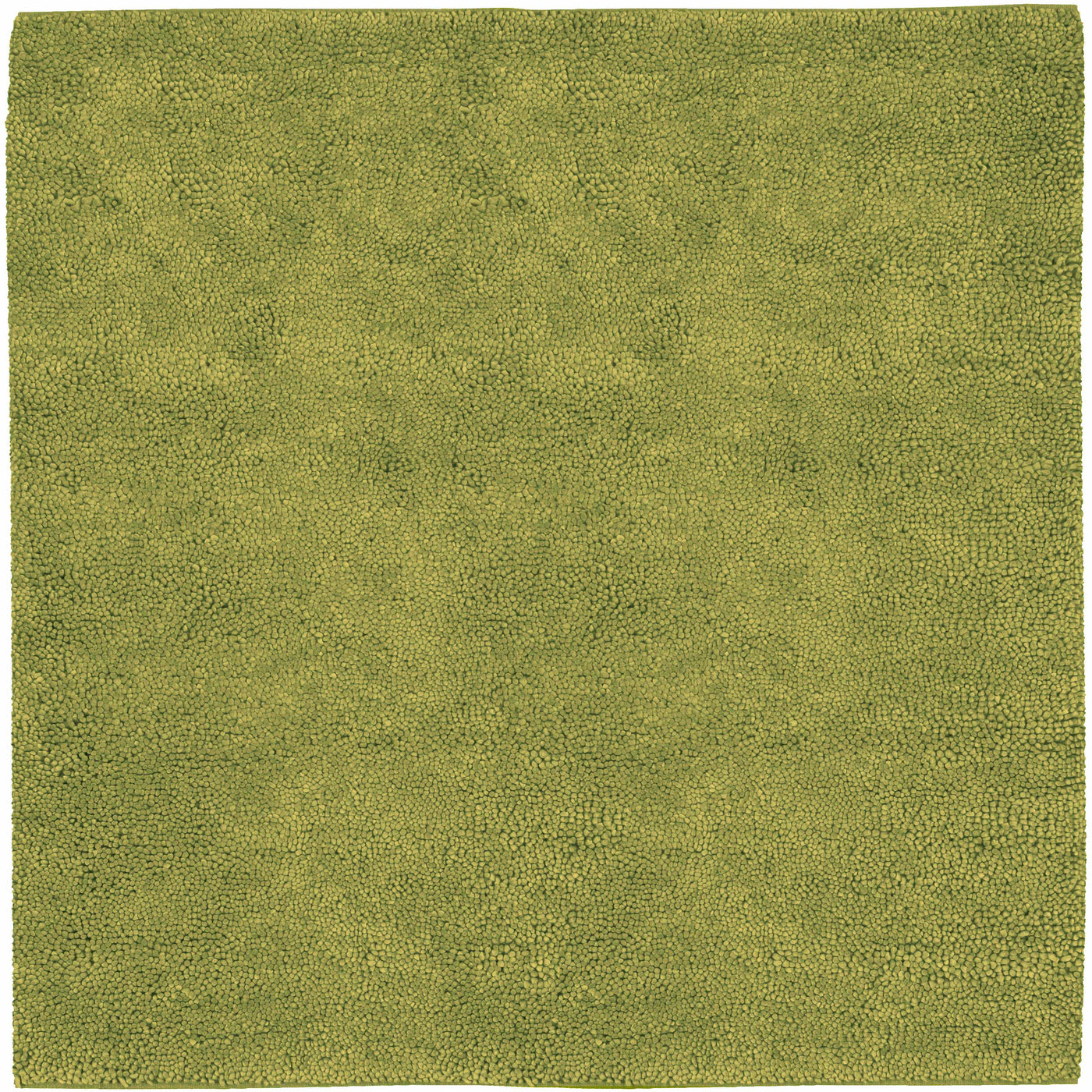 Frederika Solid Olive Green Wool Shag Rug - Clearance by Boutique Rugs