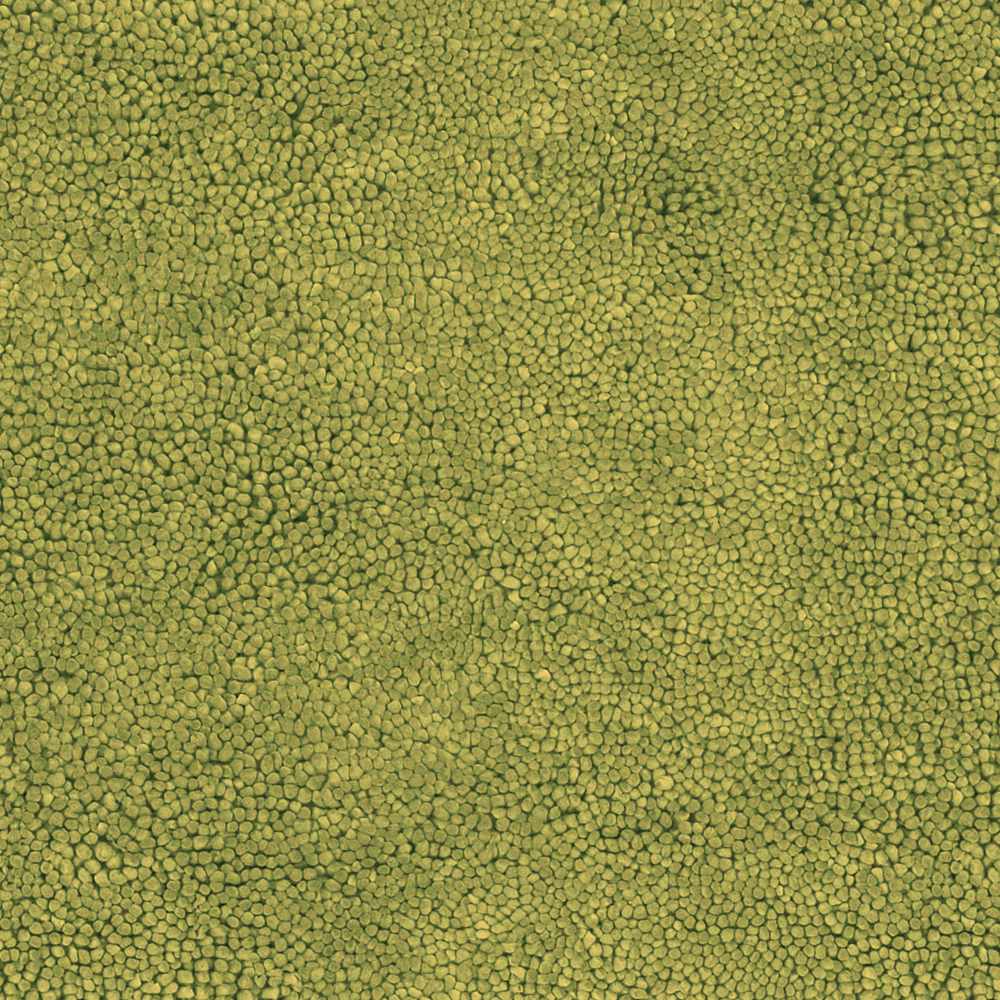 Frederika Solid Olive Green Wool Shag Rug - Clearance by Boutique Rugs