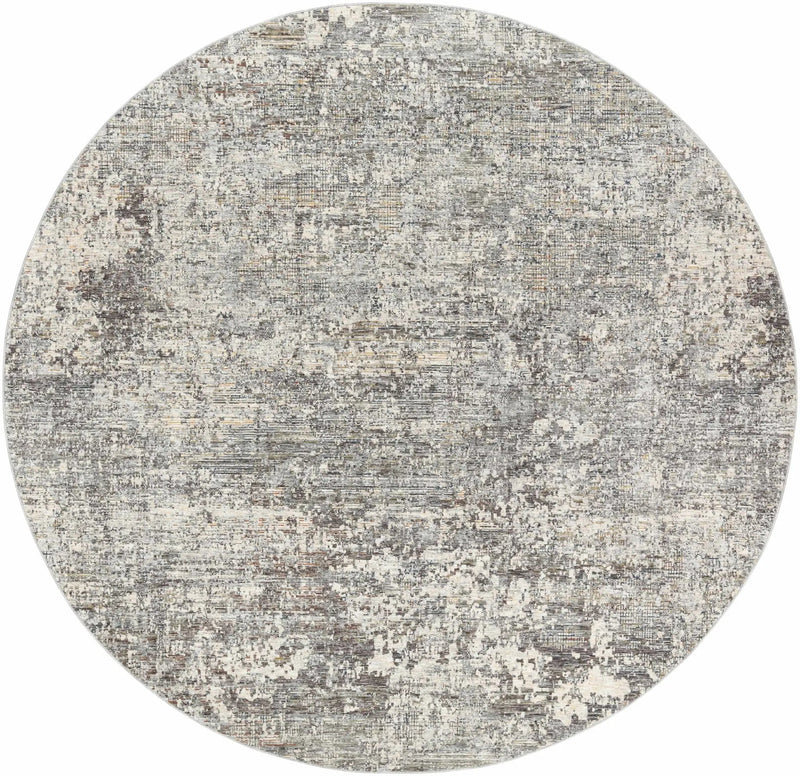 Penokee Carved Statement Rug by Boutique Rugs