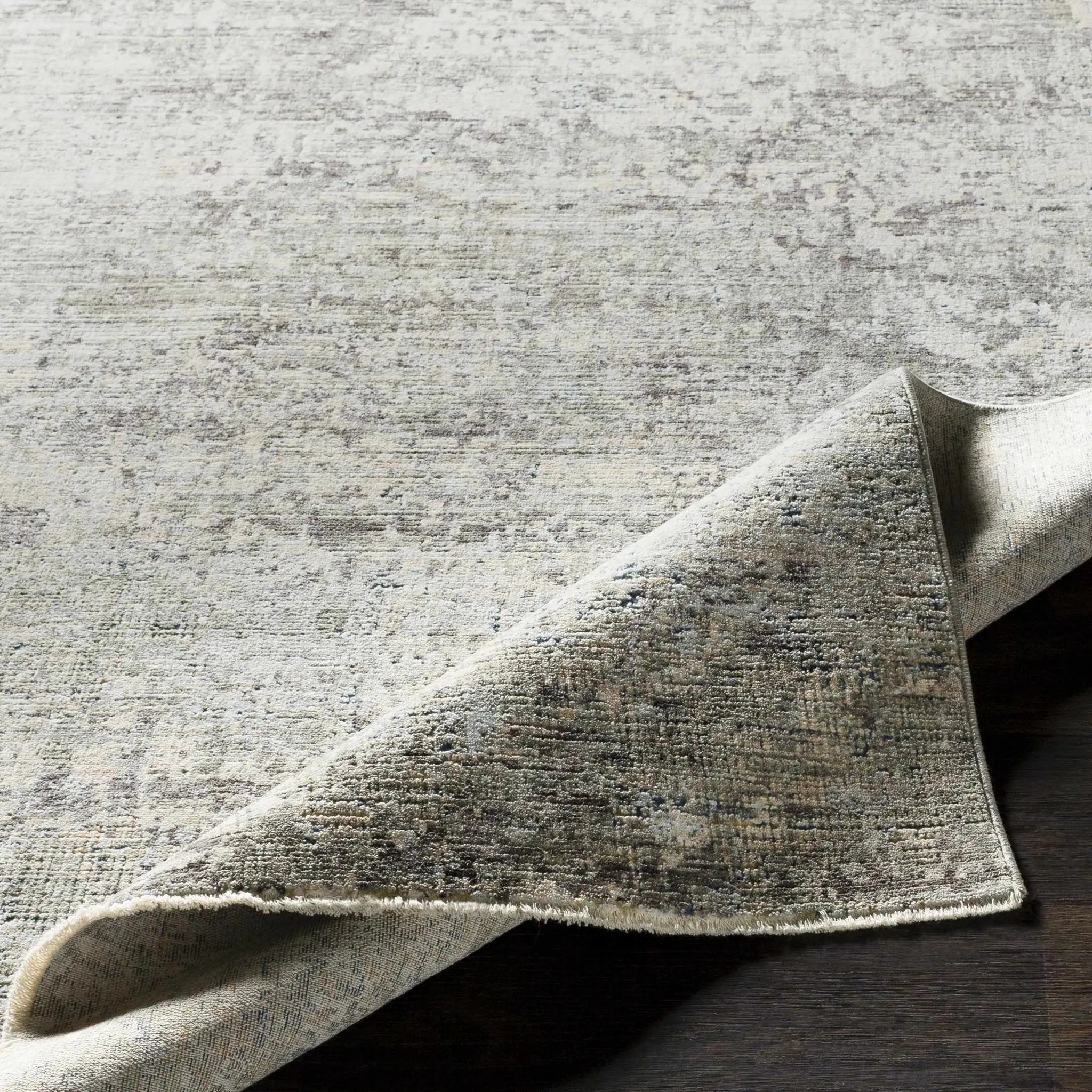Penokee Carved Statement Rug by Boutique Rugs