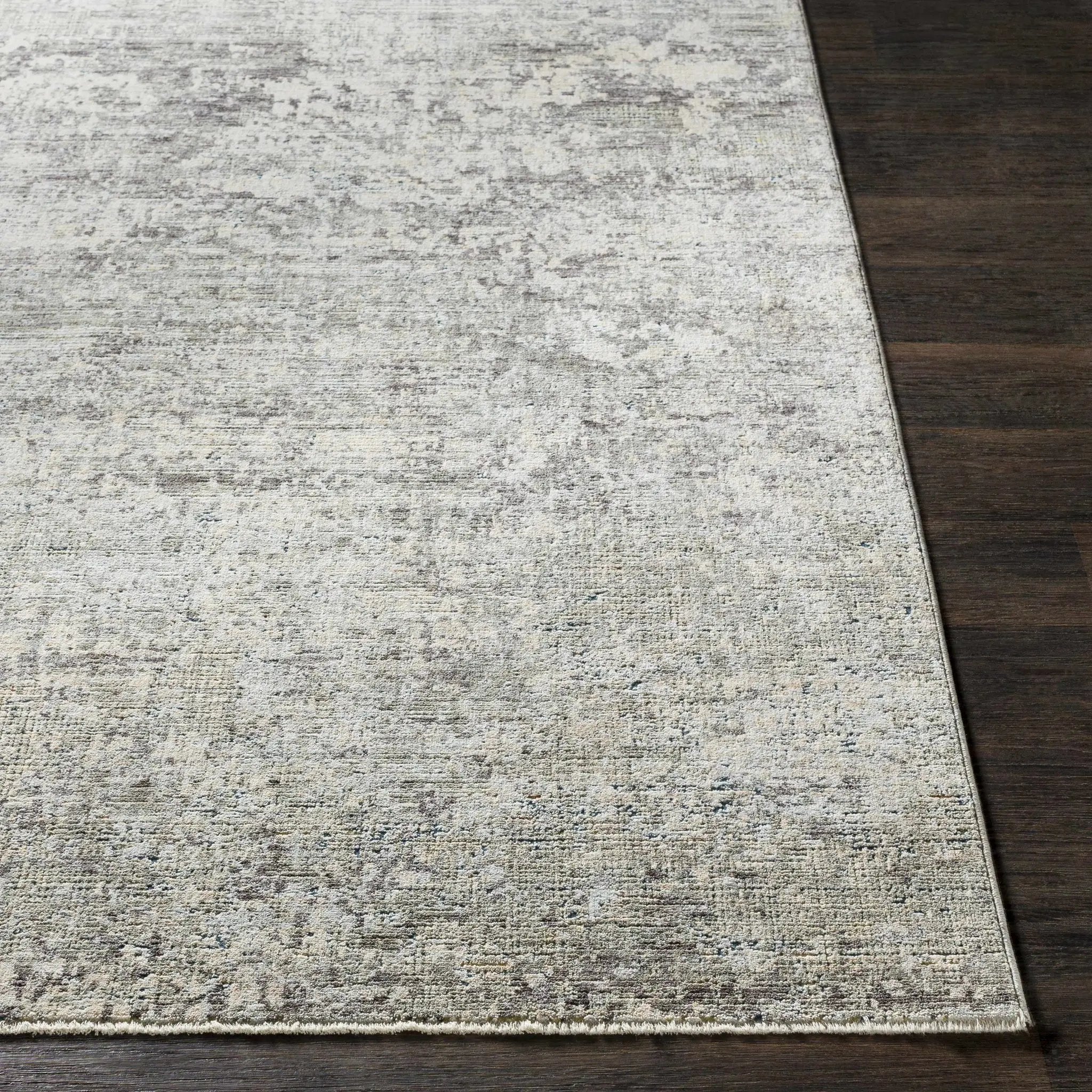 Penokee Carved Statement Rug by Boutique Rugs