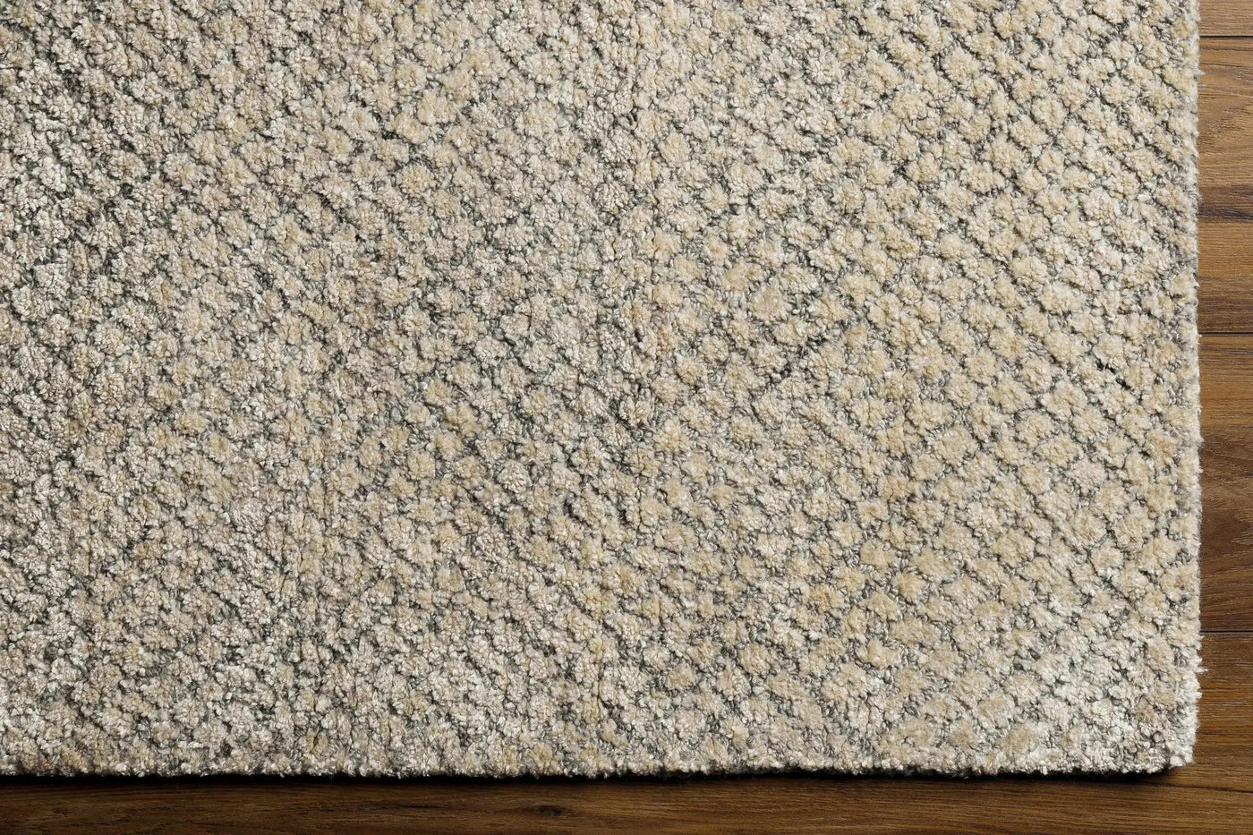 Phalaborwa Area Rug - Clearance by Boutique Rugs