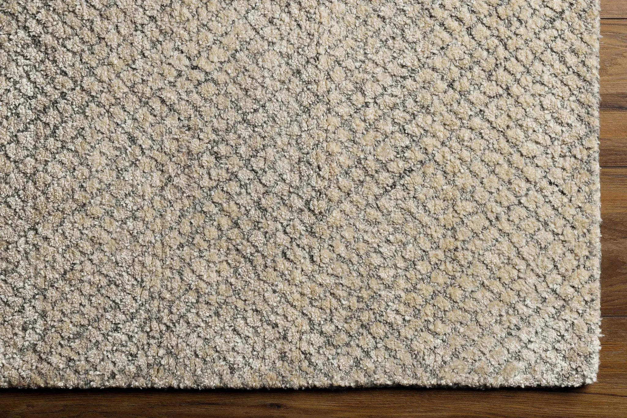 Phalaborwa Area Rug - Clearance by Boutique Rugs