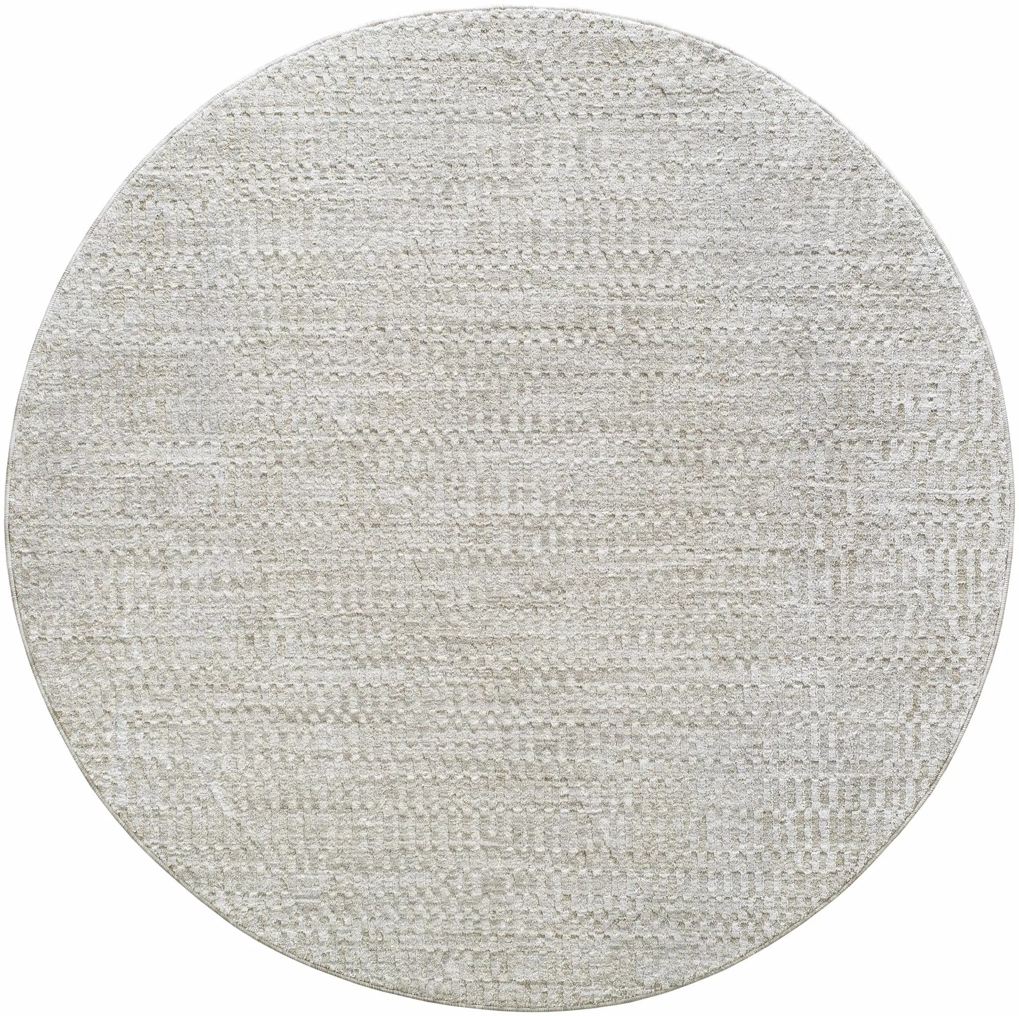 Pabla Light Gray Area Rug by Boutique Rugs