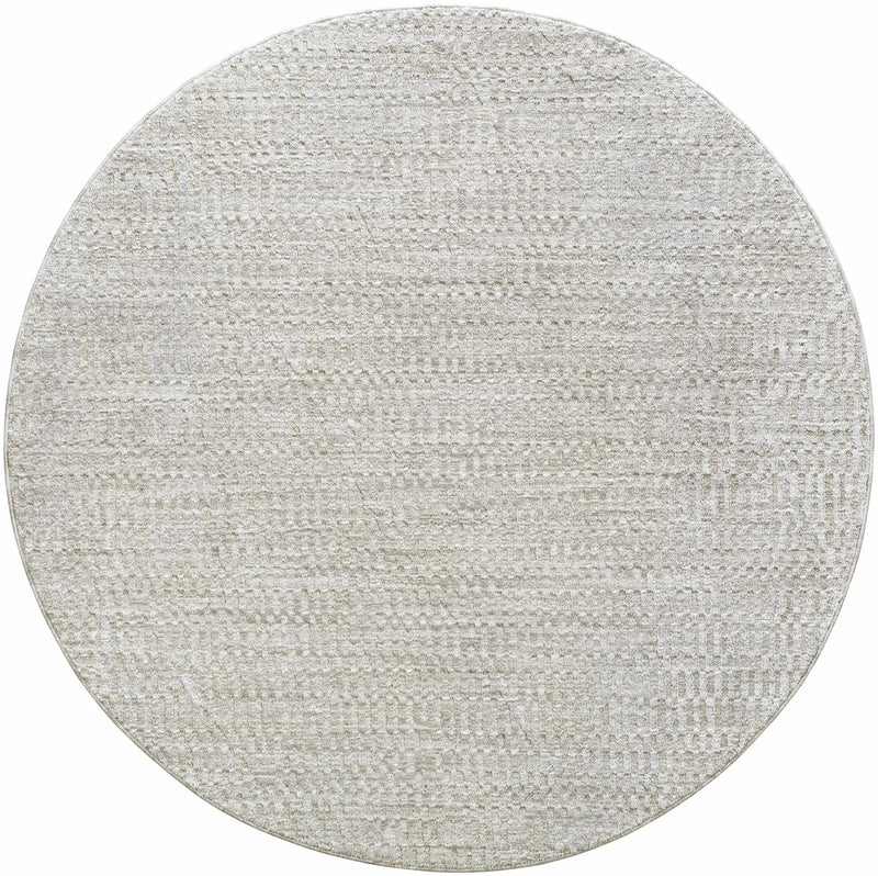 Pabla Light Gray Area Rug by Boutique Rugs