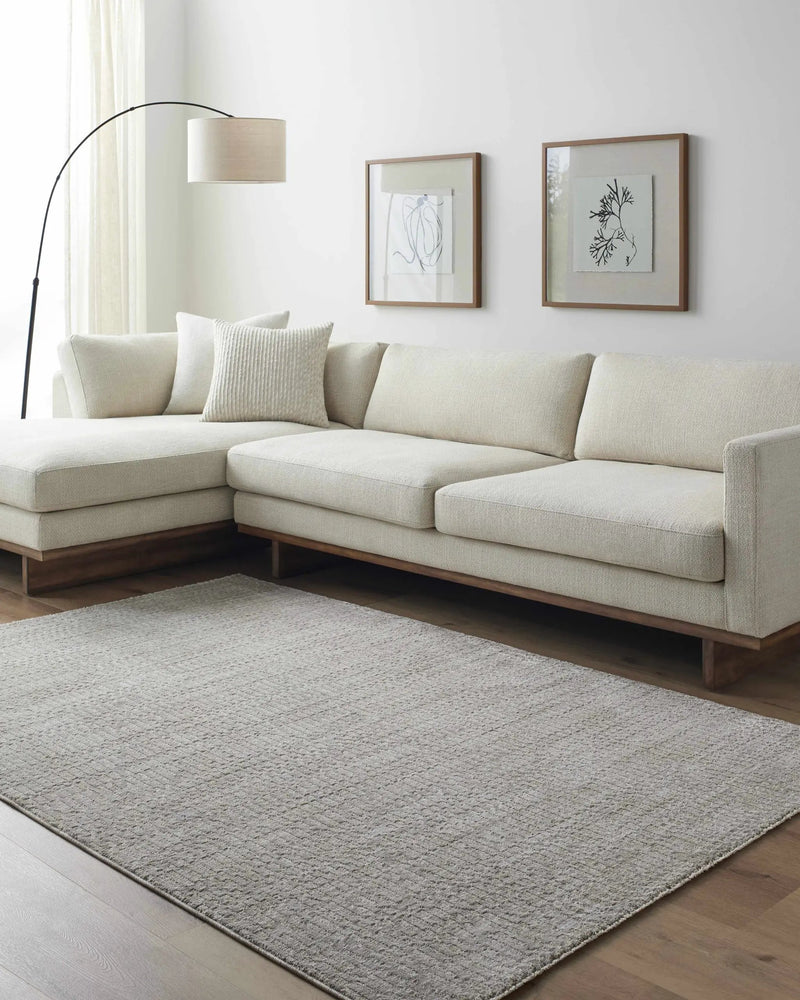 Pabla Light Gray Area Rug by Boutique Rugs