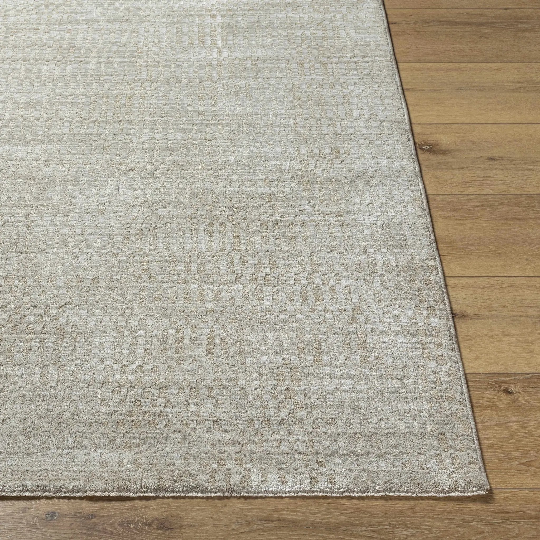 Pabla Light Gray Area Rug by Boutique Rugs