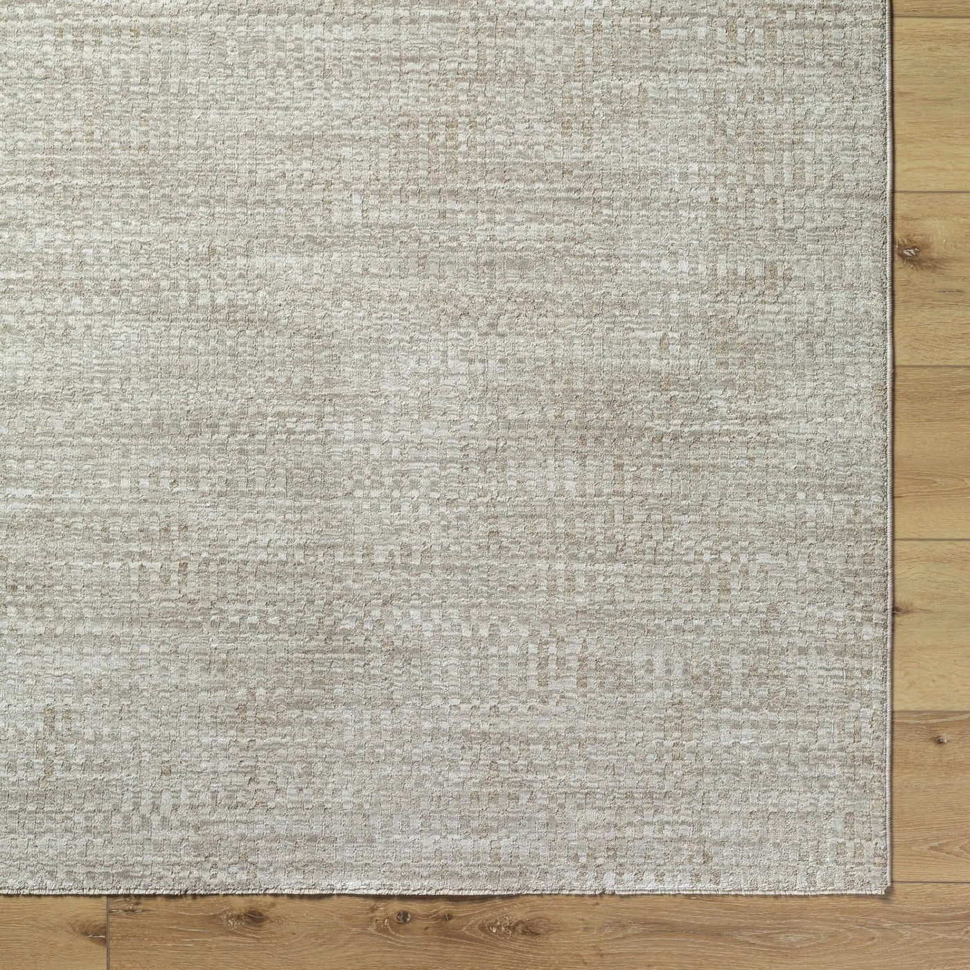 Pabla Light Gray Area Rug by Boutique Rugs