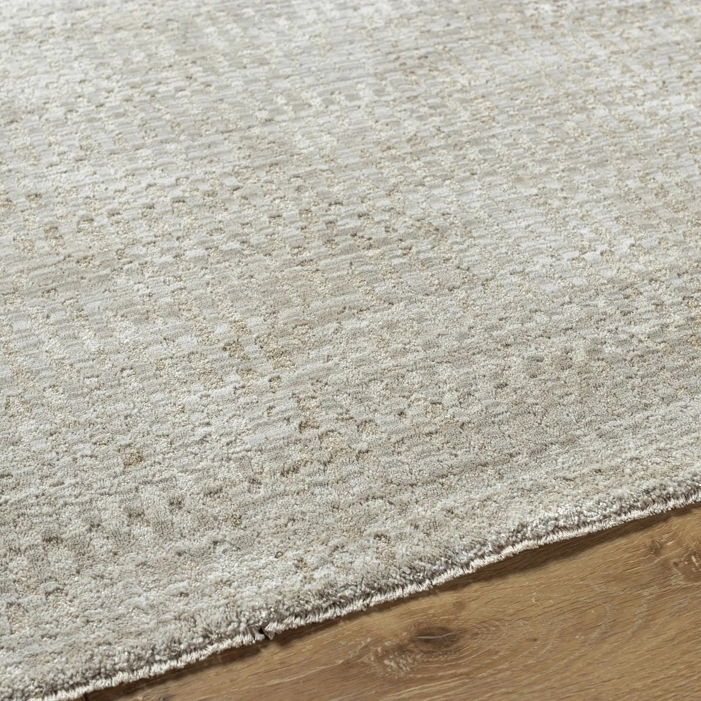 Pabla Light Gray Area Rug by Boutique Rugs