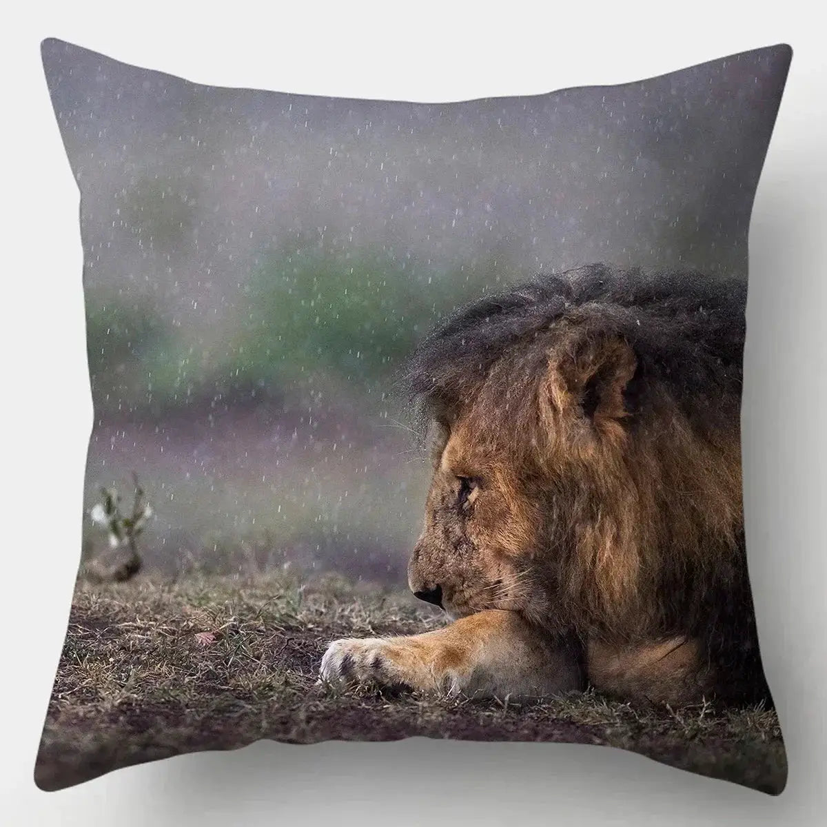 Pillow Case - Wild Animal Cotton 45x45cm by House Of Avana