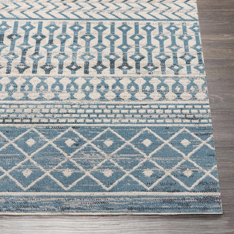 Pinamopoan Washable Area Rug - Clearance by Boutique Rugs