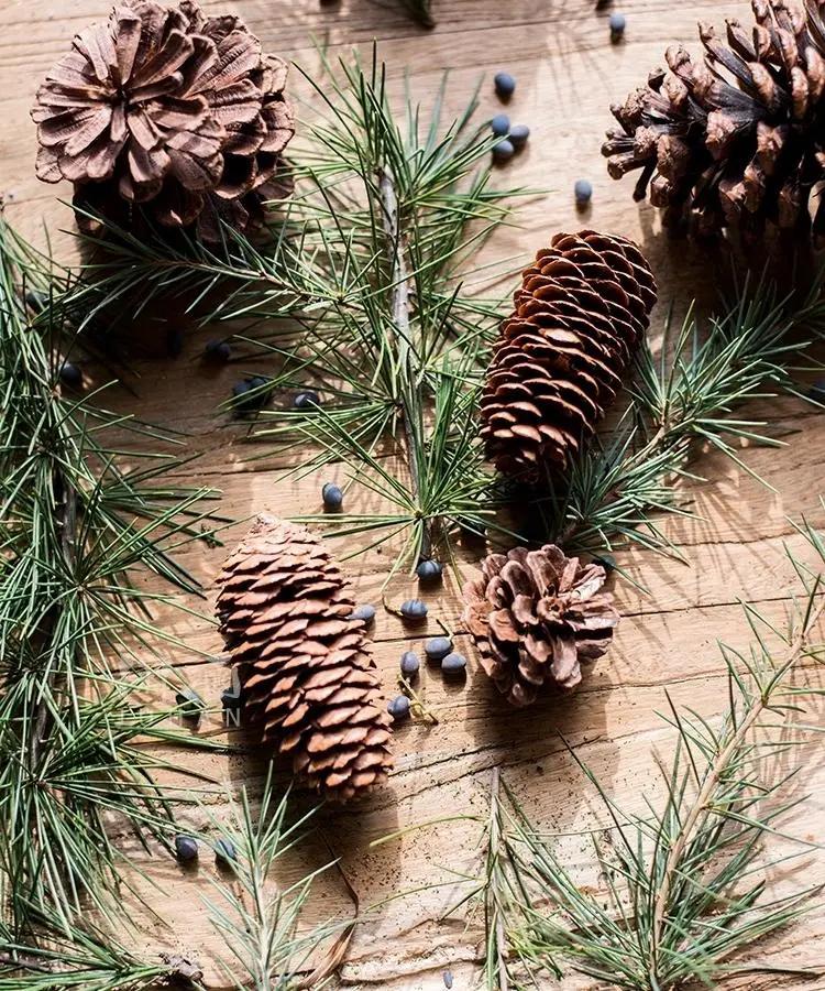 Pine Cone Decoration by RusticReach