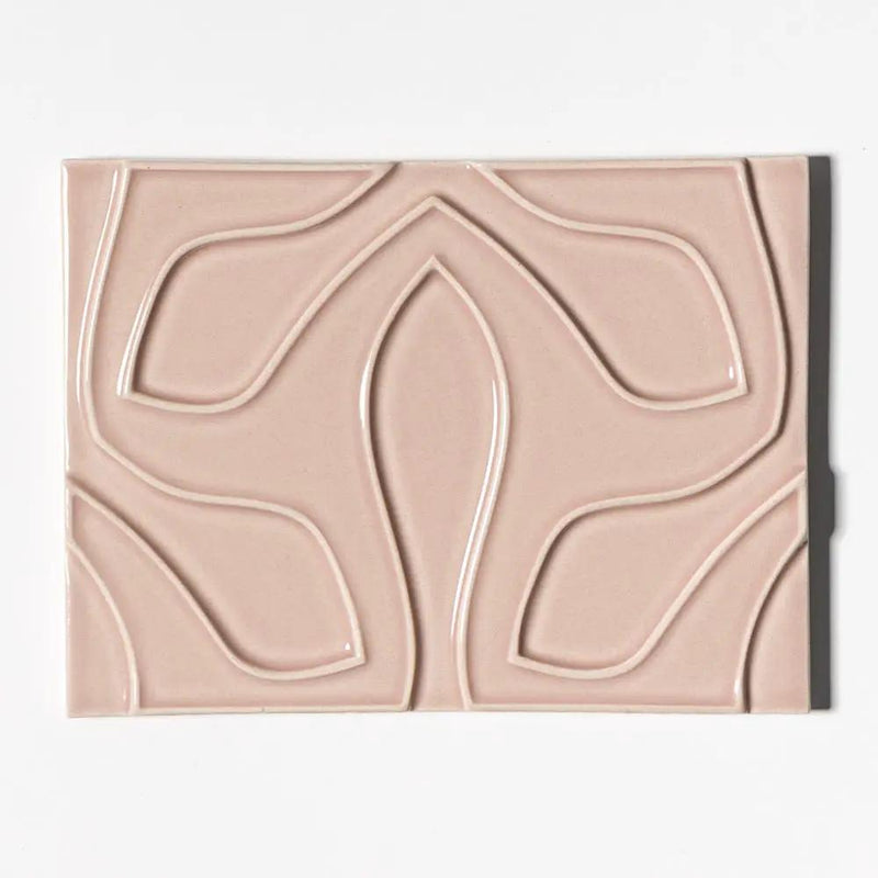 Pink Glossy Ceramic Accent Tiles 6x8