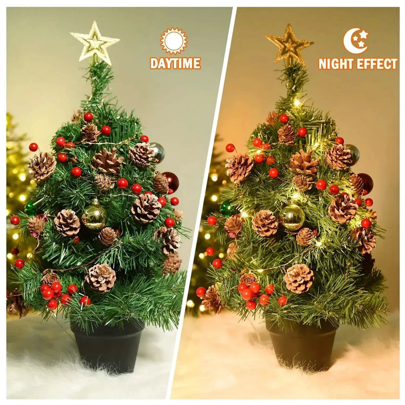 Plastic Fairy Lights with Pine Cones, 20-LED Warm White & Multicolor, 199.95cm String Lights by House Of Avana