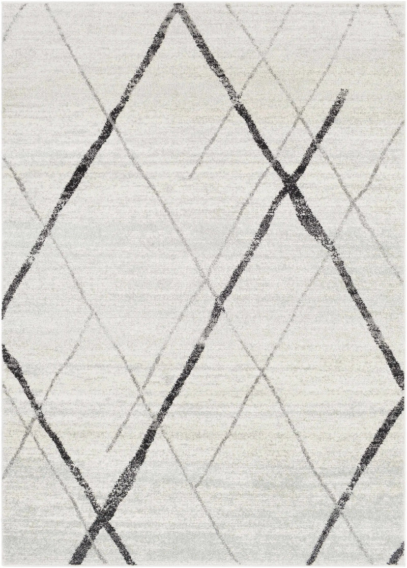 Polegate Area Rug - Clearance by Boutique Rugs