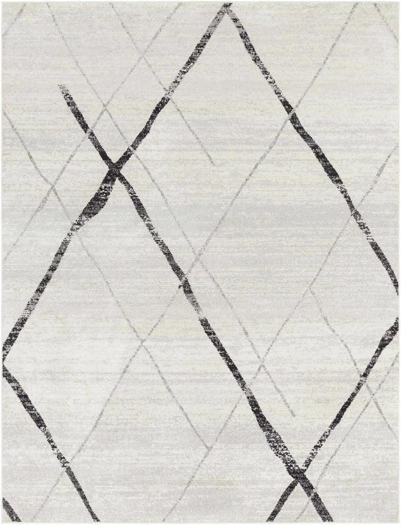 Polegate Area Rug - Clearance by Boutique Rugs