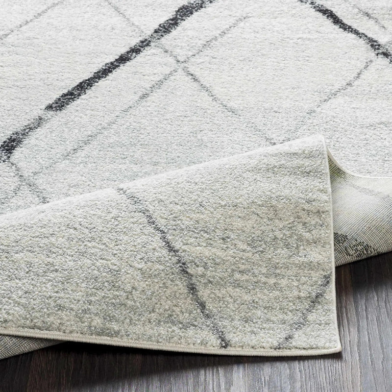Polegate Area Rug - Clearance by Boutique Rugs