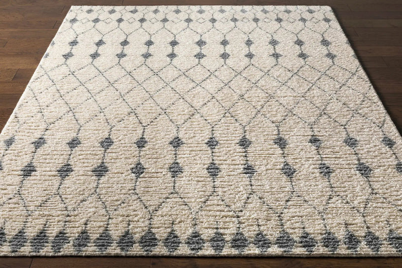 Pooleville Area Rug - Clearance by Boutique Rugs