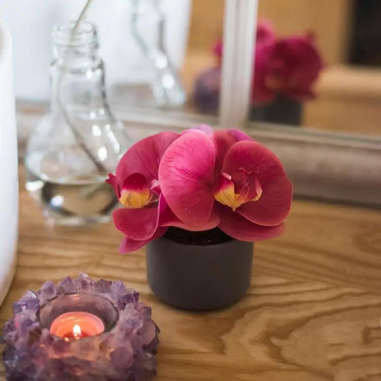 Artificial Potted Mini Real Touch Orchid Velvet Red by RusticReach
