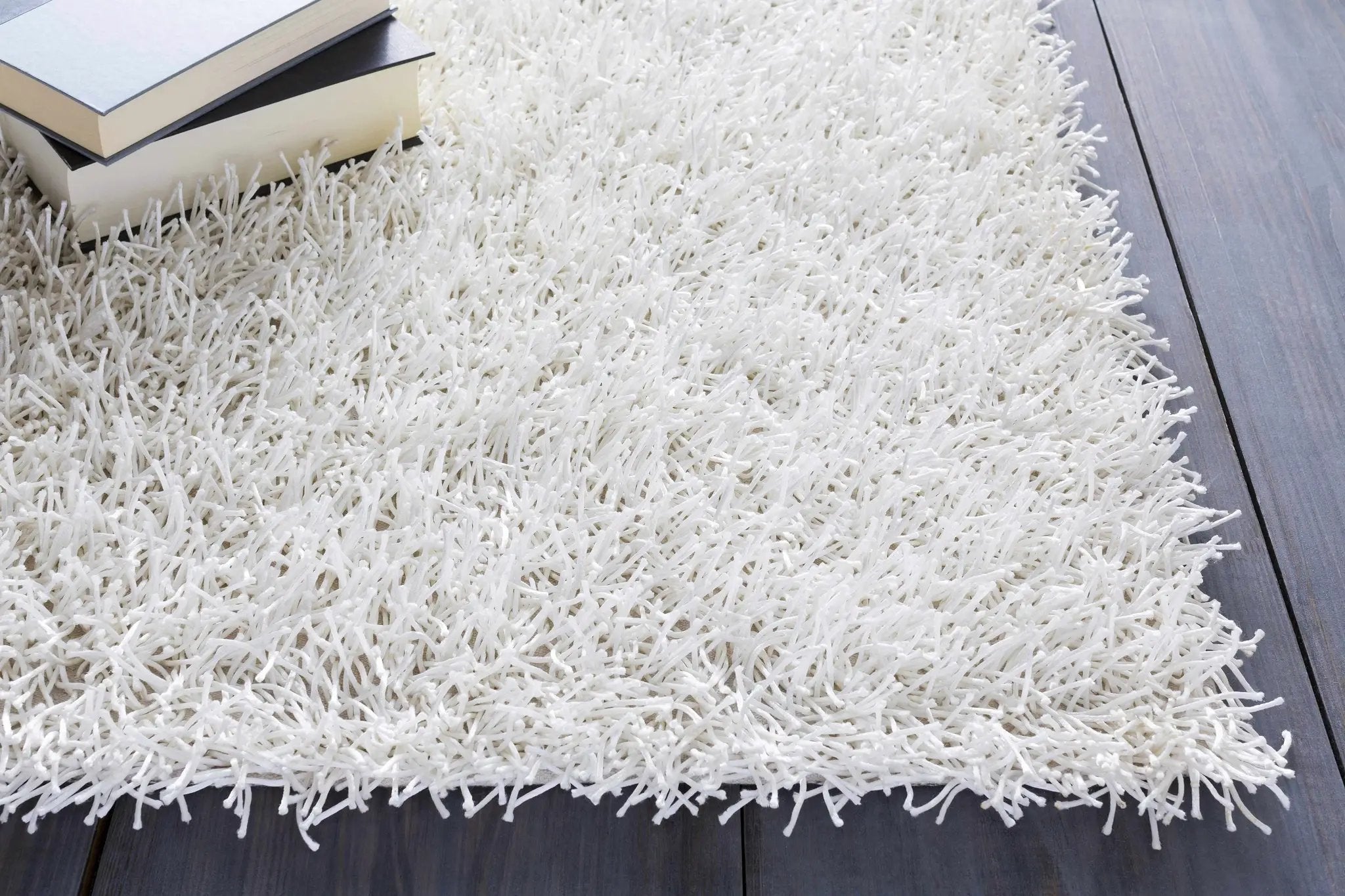 Browder 3x4 Solid Cream Shag Rug - Clearance by Boutique Rugs