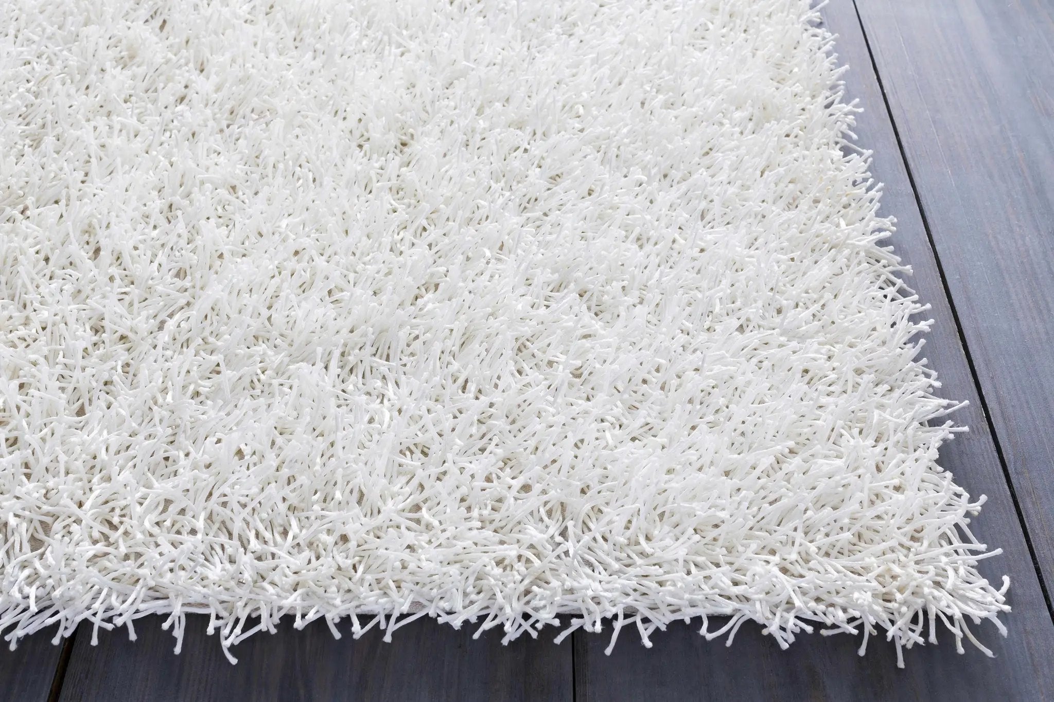 Browder 3x4 Solid Cream Shag Rug - Clearance by Boutique Rugs